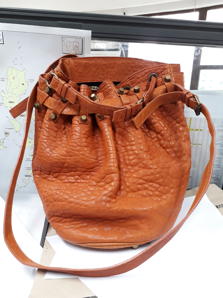 Rise above the mess - Alexander Wang Diego Bucket Bag Tangerine Pebbled Leather