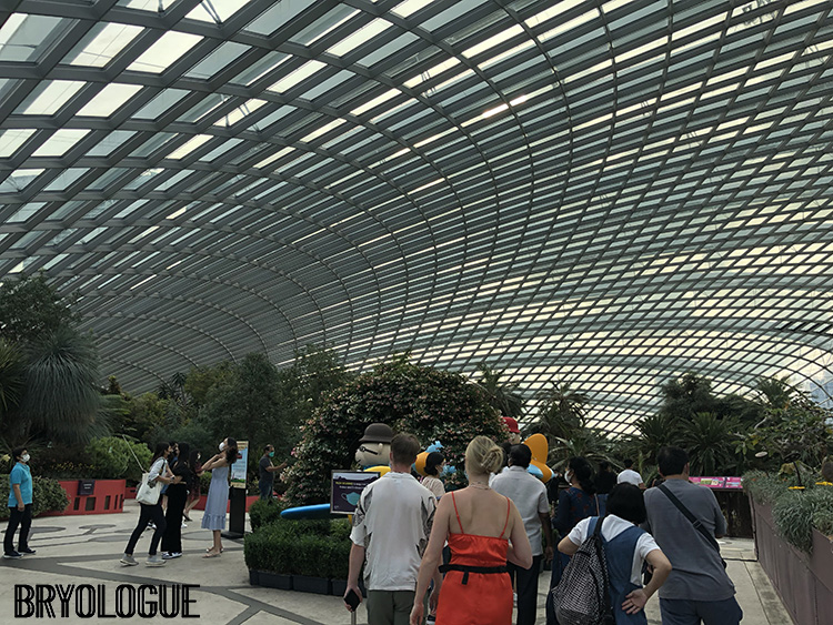 Inside the Flower Dome, Singapore