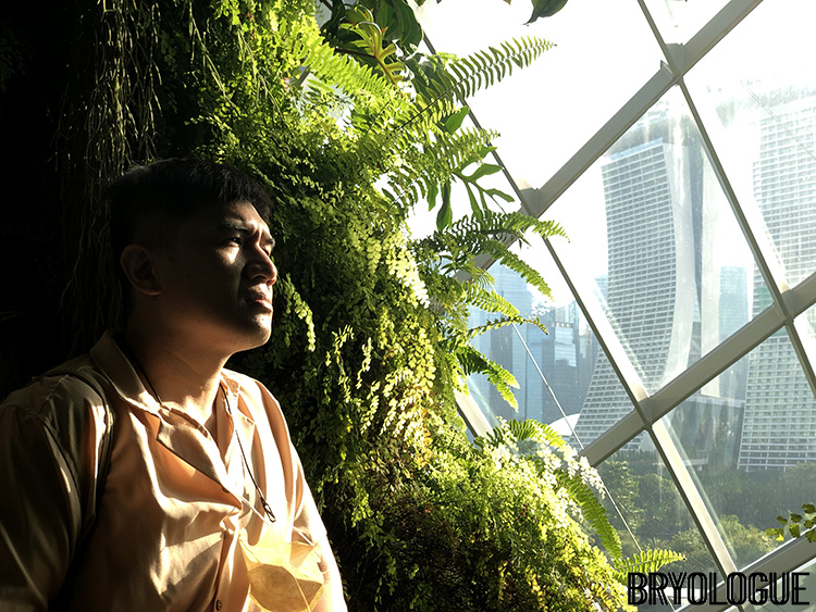 Just a dramatic sunlit photo inside the Cloud Forest, with the Marina Bay Sands peeking from behind