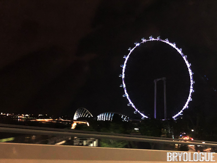 The Singapore Flyer and Cloud Forest/Flower Dome on our Grab ride to the hotel